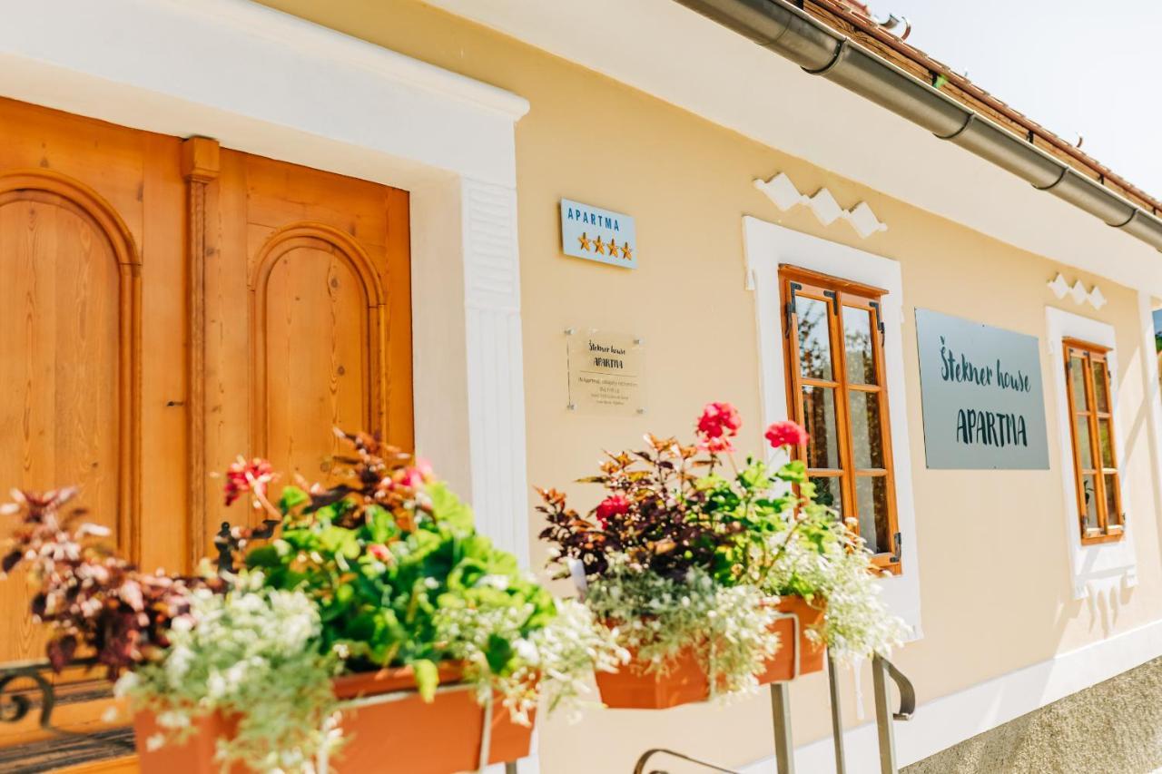 Stekner House Apartma Ljubno Kültér fotó