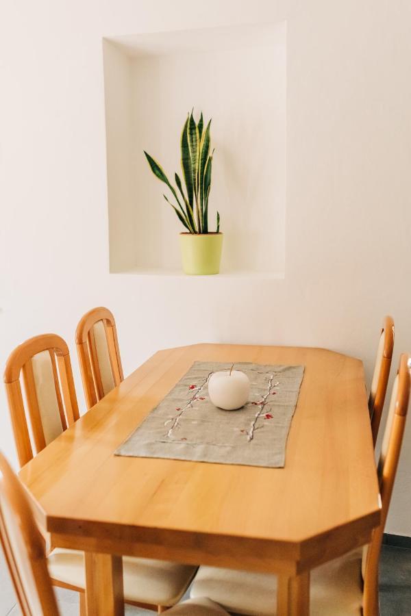 Stekner House Apartma Ljubno Kültér fotó
